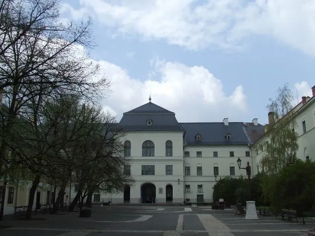Sárospataki Református Kollégium Gimnáziuma, Általános Iskolája és Diákotthona épülete